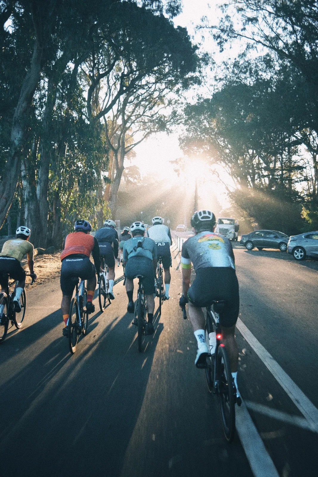 A group ride glowing in late-afternoon light