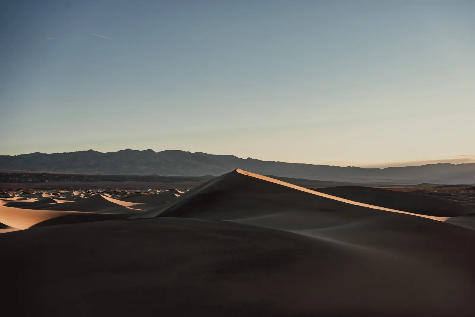 A sharp dune shadow dividing warm sand from cool blue