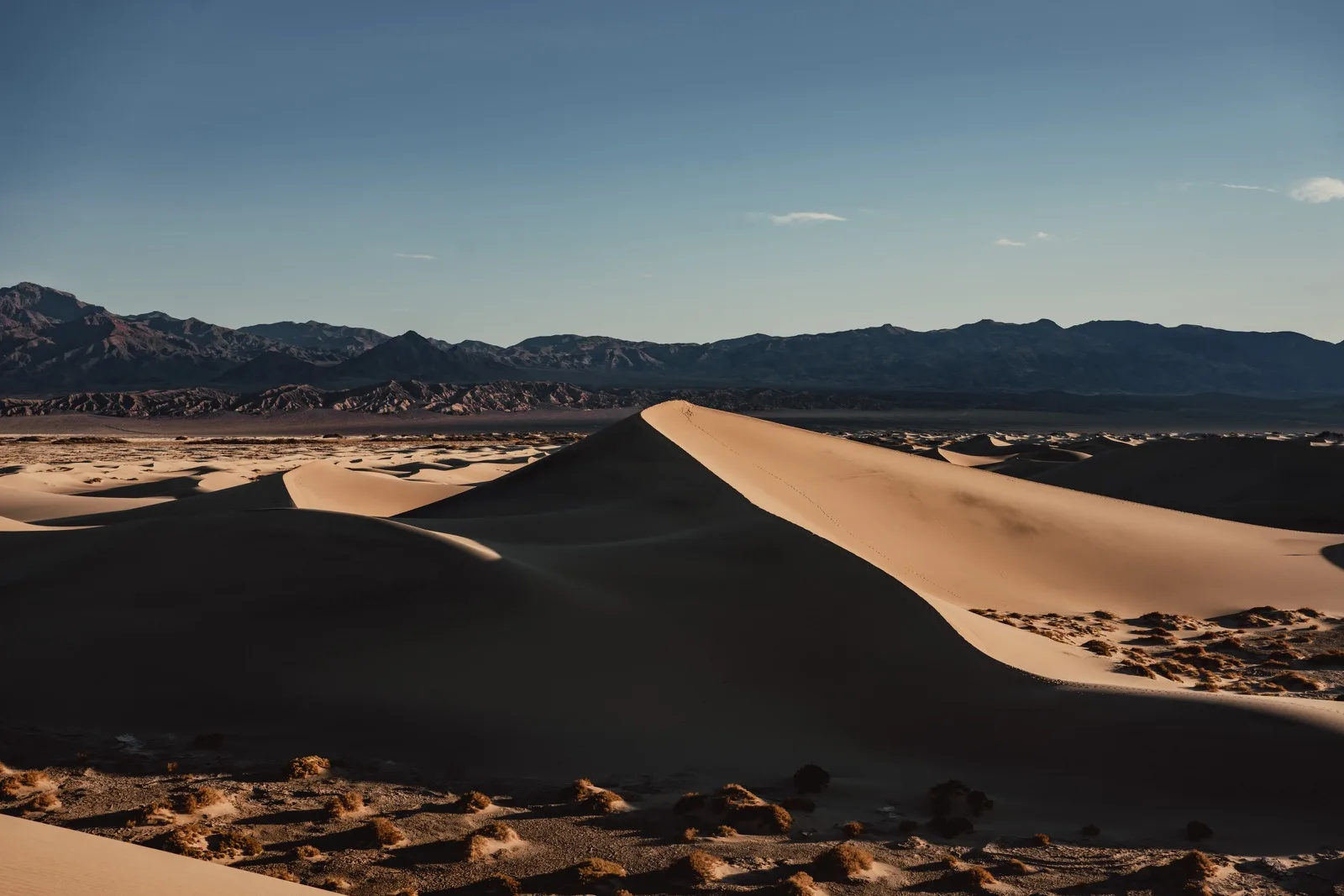Layered dunes receding into soft desert light