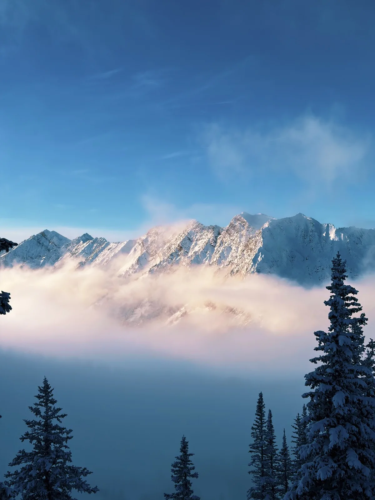 A mountain ridge emerging above low cloud