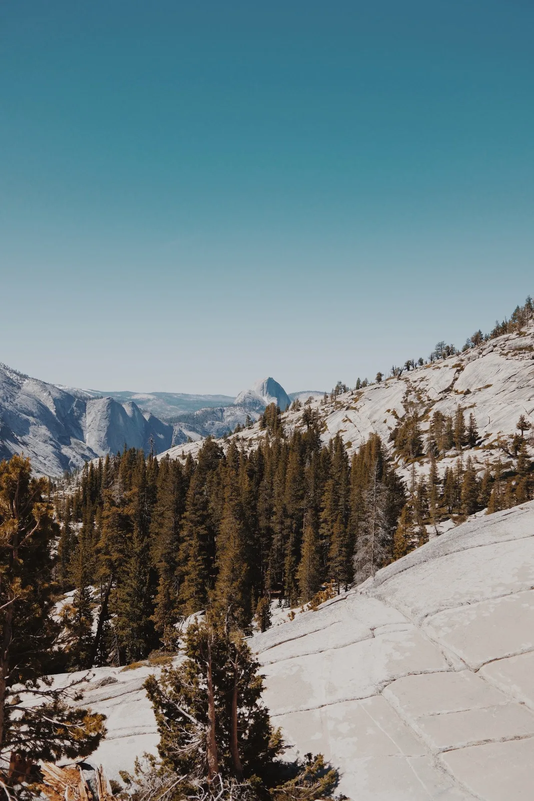 Half Dome rising beyond a snow-lined mountain road
