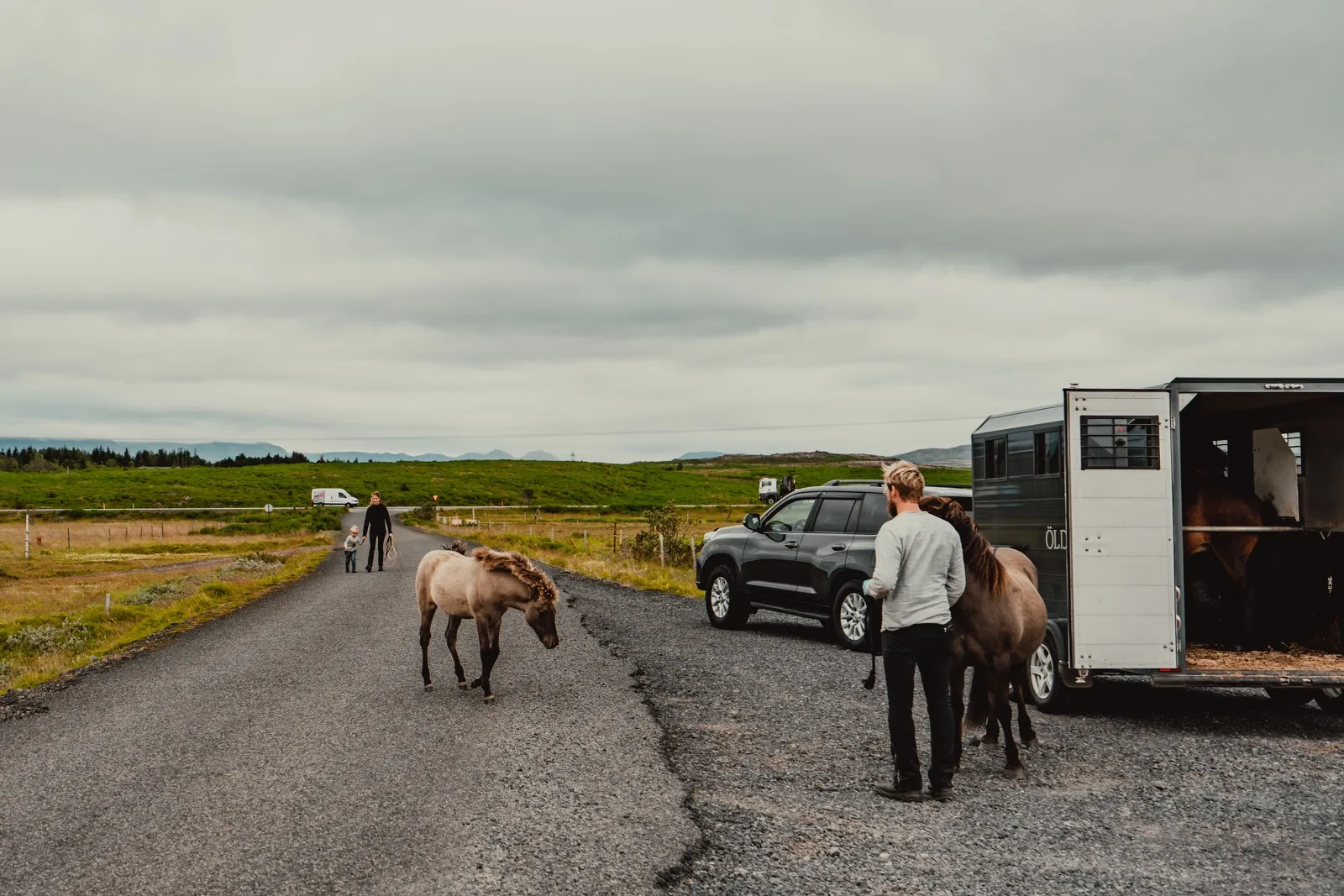 Icelandic horses beside a small roadside trailer