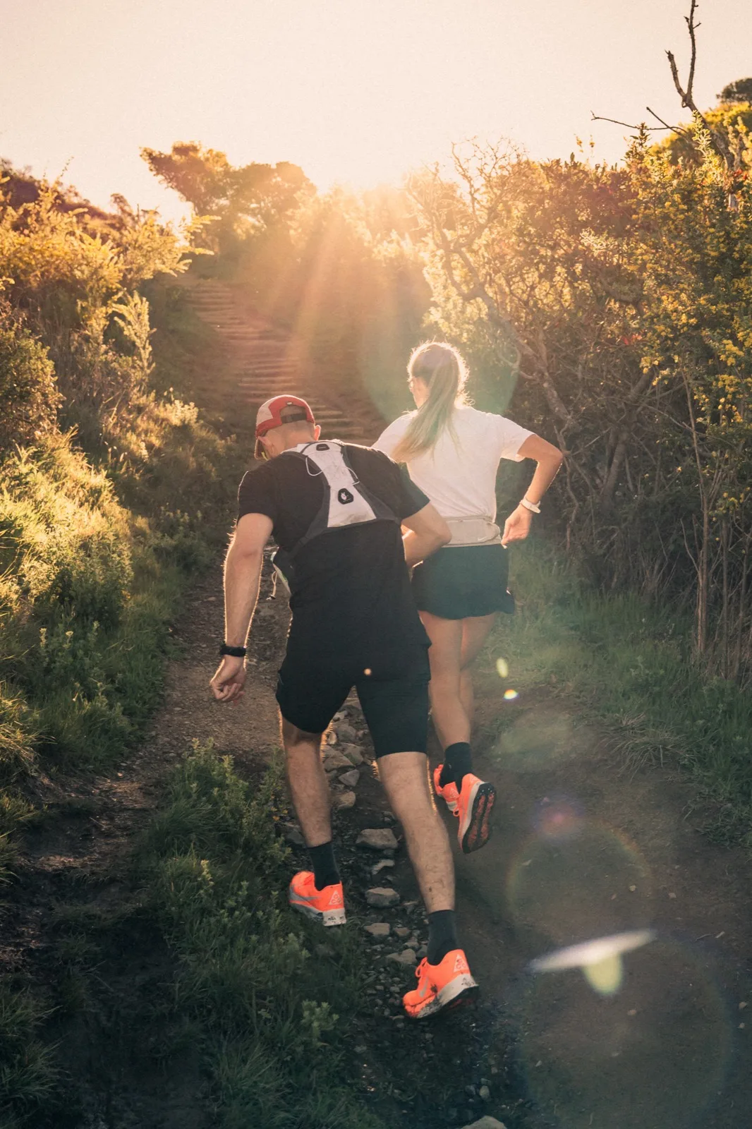 Two runners moving through backlit brush